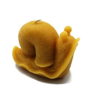 Beeswax Candle Snail Mollusk Shaped Candle