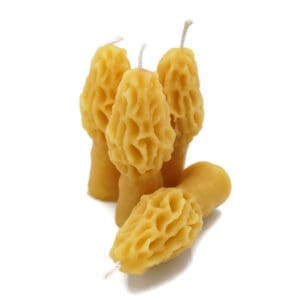 Beeswax Candles Tiny Morel Mushrooms Shaped Candles Set/4 Made in Oregon