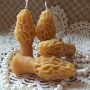 Beeswax Candles Tiny Morel Mushrooms Shaped Candles Set/4 Made in Oregon