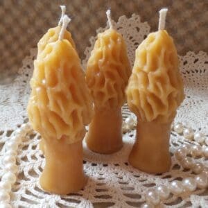 Beeswax Candles Tiny Morel Mushrooms Shaped Candles Set/4 Made in Oregon