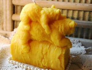 Piggyback bears 3