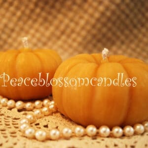Beeswax Pumpkin Candles