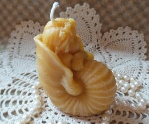 baby in shell 4