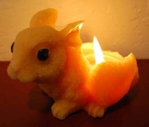 bigrabbit4forweb