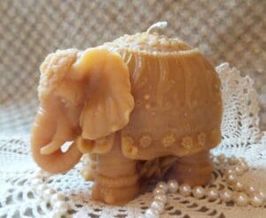 elephant 1