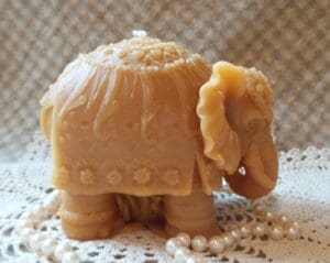 elephant 2