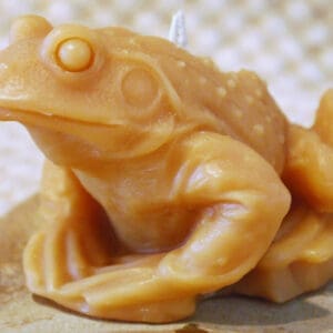 Pure Beeswax life size Frog or Toad candle