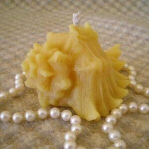 Beeswax Shell Candle