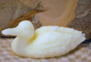 whtduckforweb