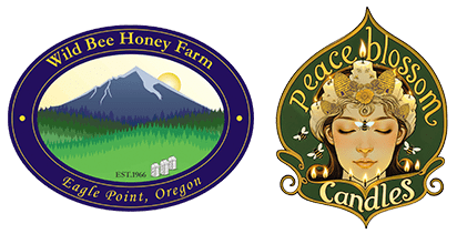 Dual logos