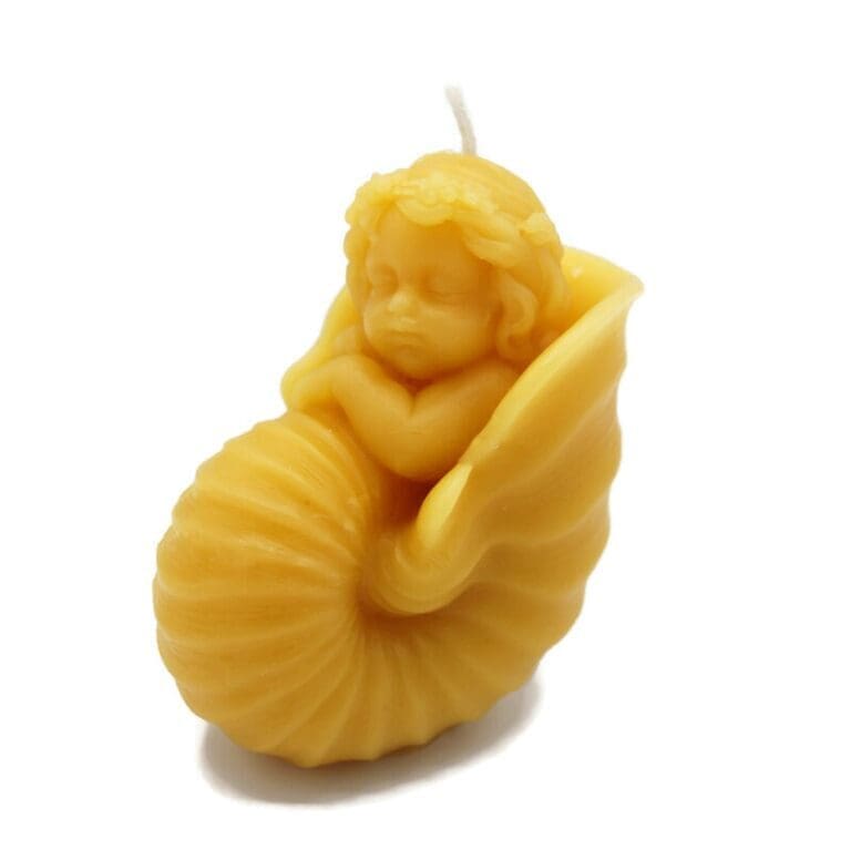 Baby in Shell