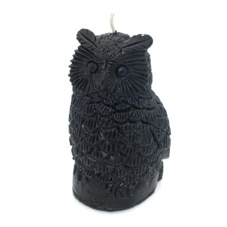 Black Large Owl