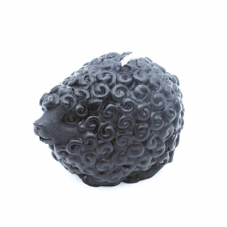 Black Sheep