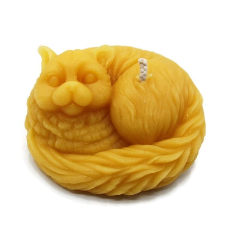 Curled Cat - Copy