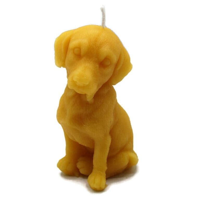 Doggy Nat - Copy