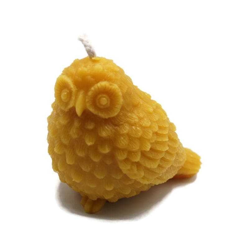 Med owl 1