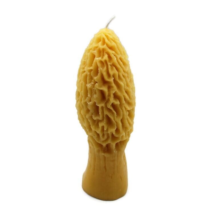 Morel Large