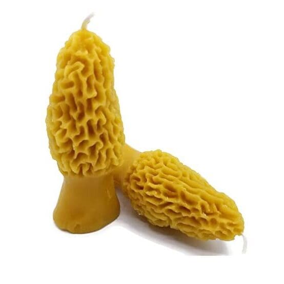 Morel Med