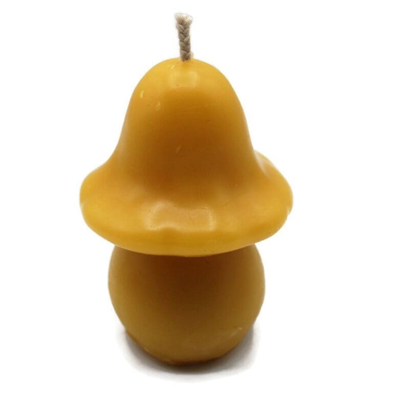 Mushroom Pointed Top (1) - Copy