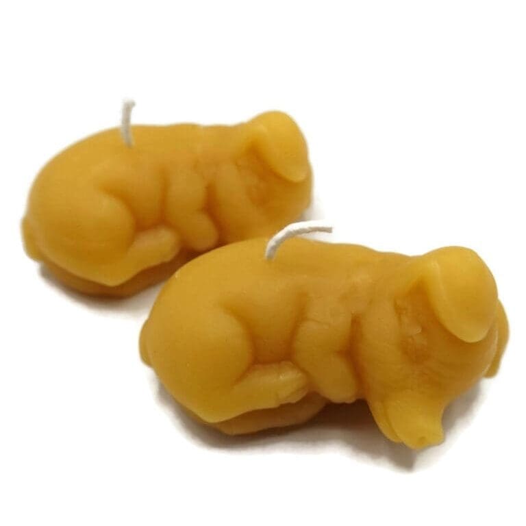 Piglets - Copy