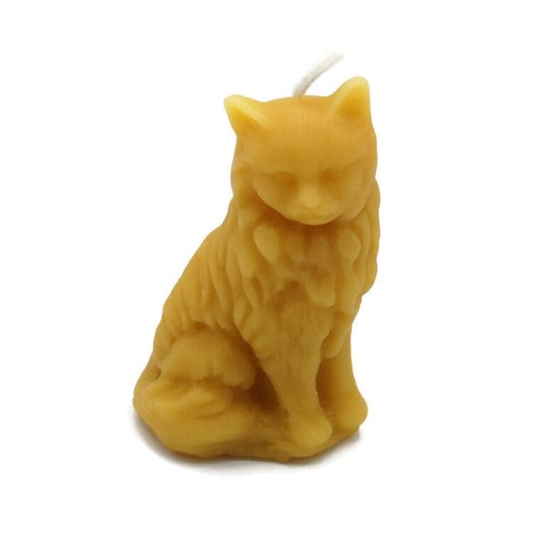 Small Cat Nat