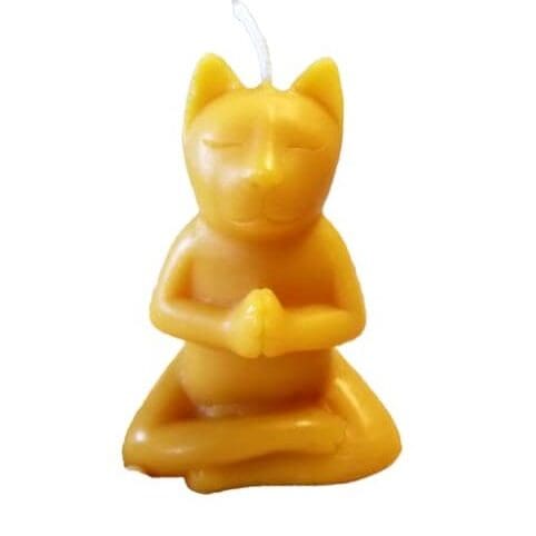 Zen Cat