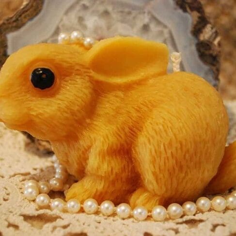 bigbunny