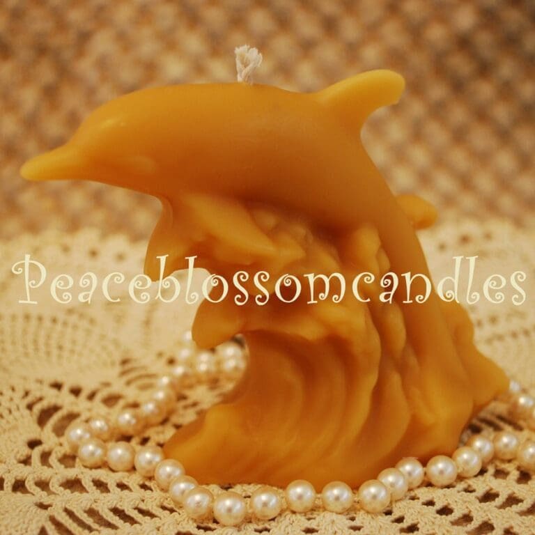 dolphin1
