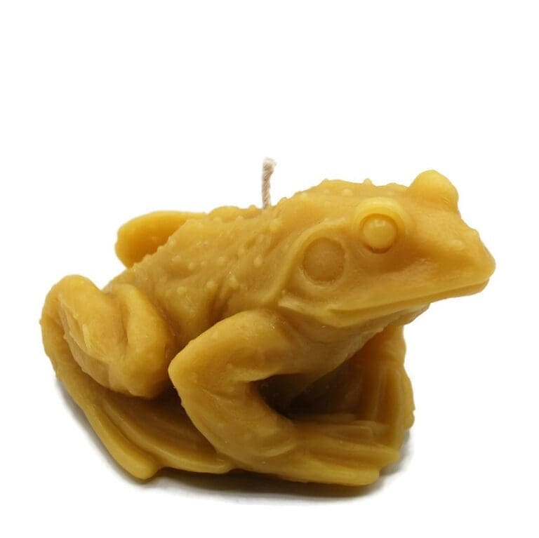 frog - Copy