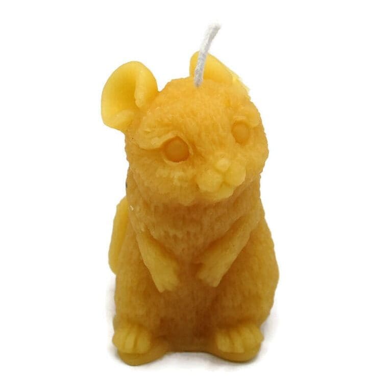mouse