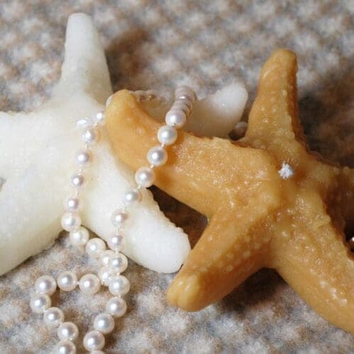 starfishforweb
