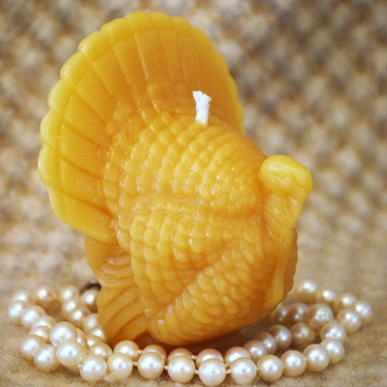 Beeswax Turkey Candle